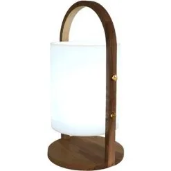 LUMISKY Baladeuse Lumineuse Rechargeable WOODY